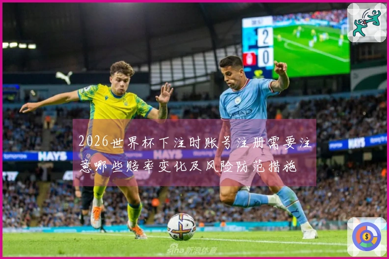 2026世界杯下注时账号注册需要注意哪些赔率变化及风险防范措施