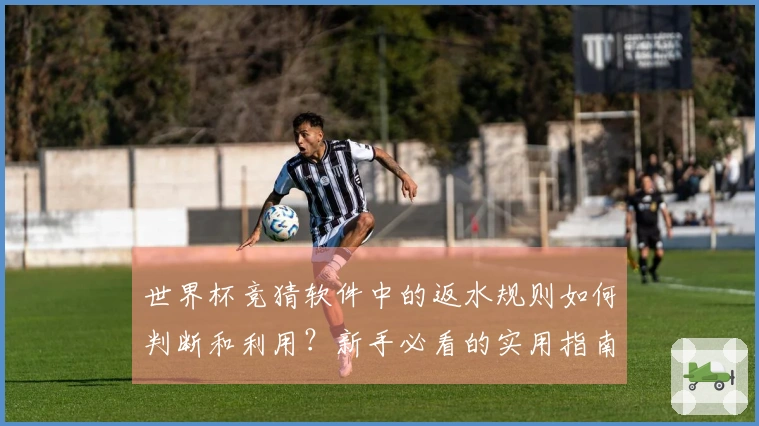 世界杯竞猜软件中的返水规则如何判断和利用？新手必看的实用指南