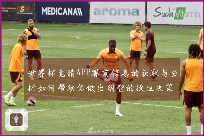 世界杯竞猜APP赛前信息的获取与分析如何帮助你做出明智的投注决策