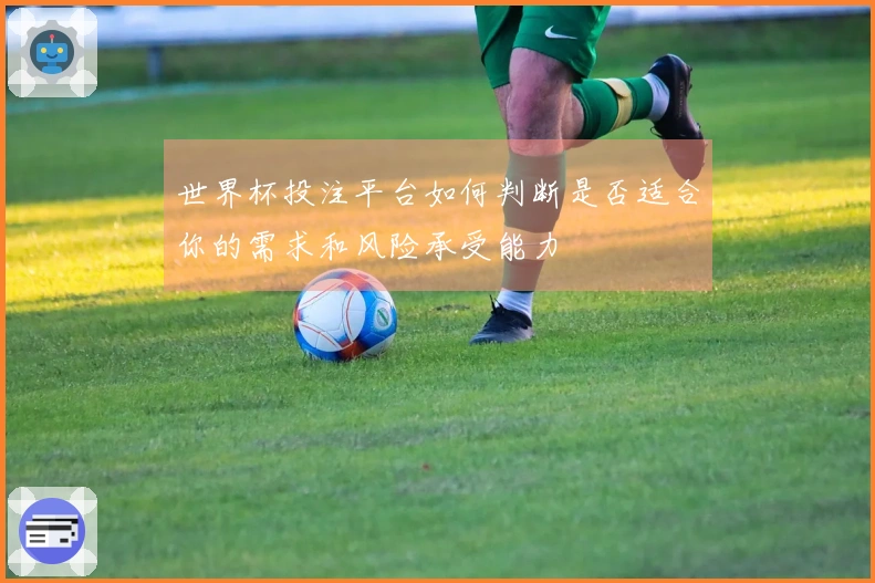 世界杯投注平台如何判断是否适合你的需求和风险承受能力