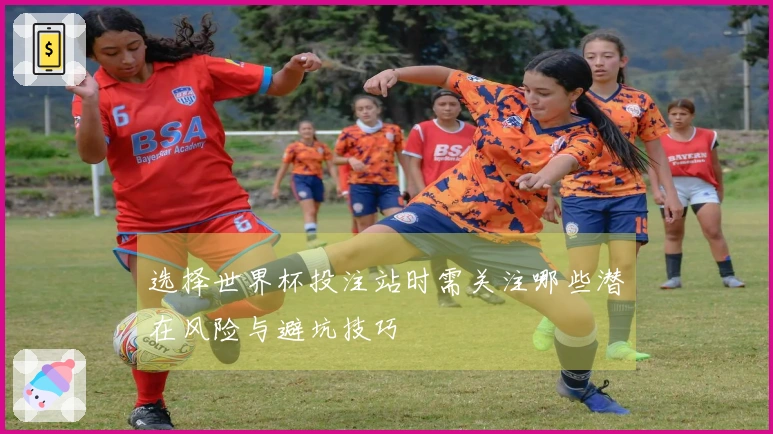 选择世界杯投注站时需关注哪些潜在风险与避坑技巧