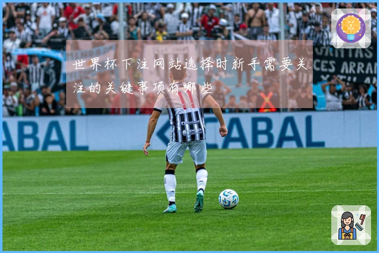 世界杯下注网站选择时新手需要关注的关键事项有哪些