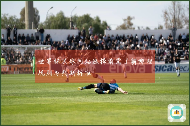 世界杯买球网站选择前需了解哪些规则与判断标准