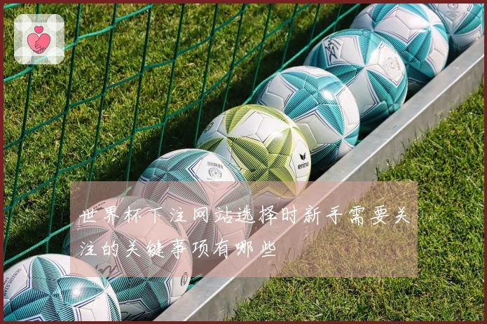 世界杯下注网站选择时新手需要关注的关键事项有哪些