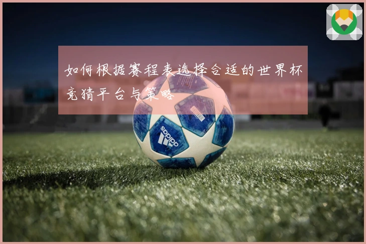 如何根据赛程表选择合适的世界杯竞猜平台与策略