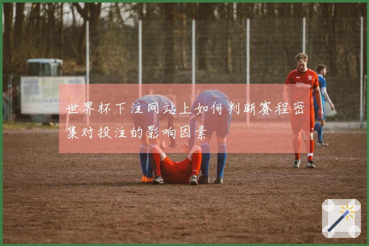世界杯下注网站上如何判断赛程密集对投注的影响因素