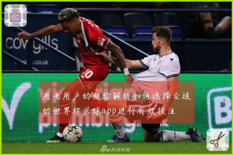 用老用户的经验解析如何选择合适的世界杯买球app进行有效投注