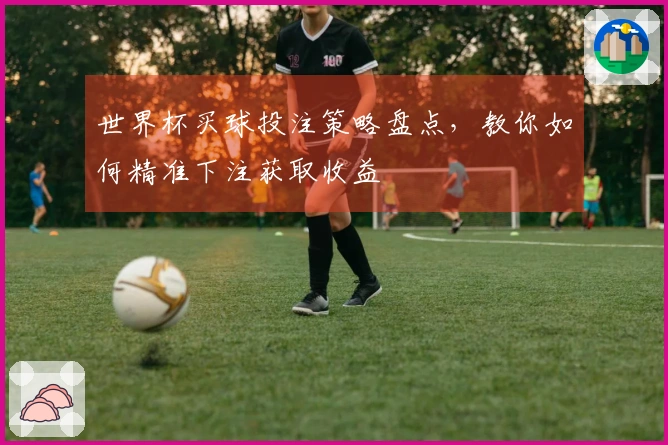 世界杯买球投注策略盘点，教你如何精准下注获取收益