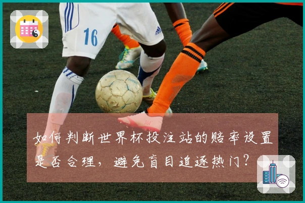 如何判断世界杯投注站的赔率设置是否合理，避免盲目追逐热门？