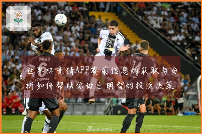 世界杯竞猜APP赛前信息的获取与分析如何帮助你做出明智的投注决策