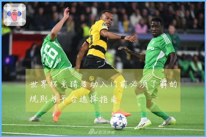 世界杯竞猜活动入门前必须了解的规则与平台选择指南