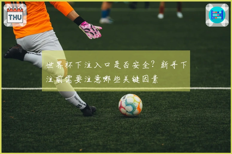 世界杯下注入口是否安全？新手下注前需要注意哪些关键因素