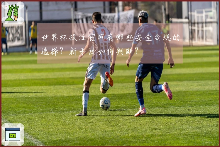 世界杯投注官网有哪些安全合规的选择？新手该如何判断？
