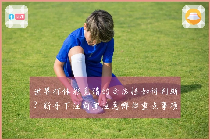 世界杯体彩竞猜的合法性如何判断？新手下注前要注意哪些重点事项！