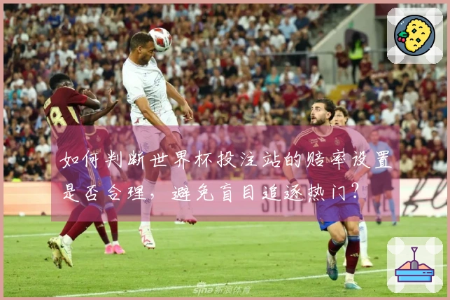 如何判断世界杯投注站的赔率设置是否合理，避免盲目追逐热门？
