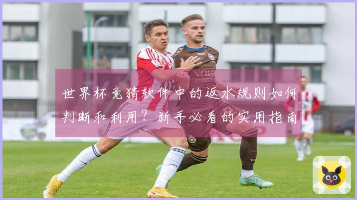 世界杯竞猜软件中的返水规则如何判断和利用？新手必看的实用指南