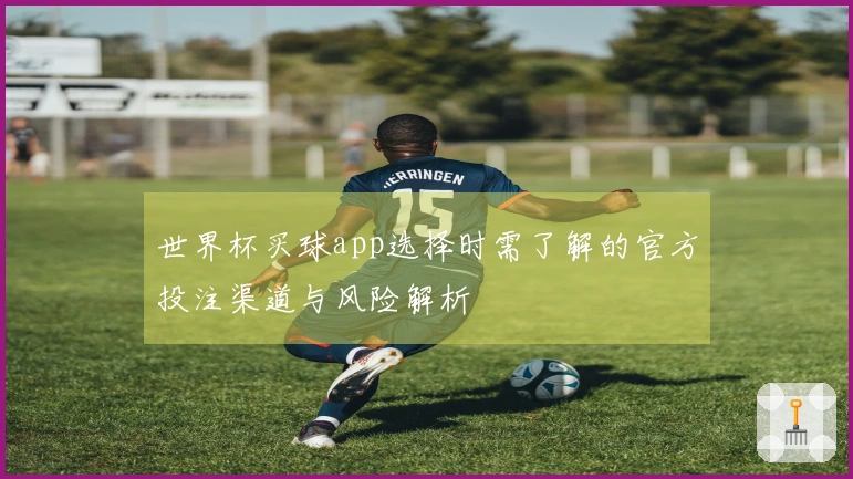世界杯买球app选择时需了解的官方投注渠道与风险解析