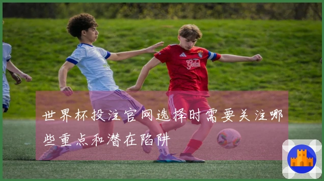 世界杯投注官网选择时需要关注哪些重点和潜在陷阱