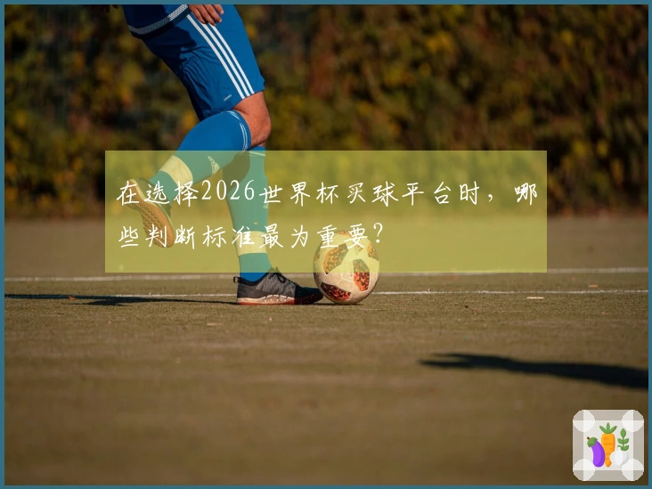 在选择2026世界杯买球平台时，哪些判断标准最为重要？
