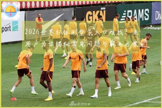 2026世界杯体彩登录入口难找？老用户为你揭秘常见问题与解决方案