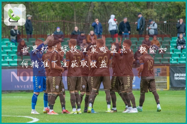 世界杯买球投注策略盘点，教你如何精准下注获取收益