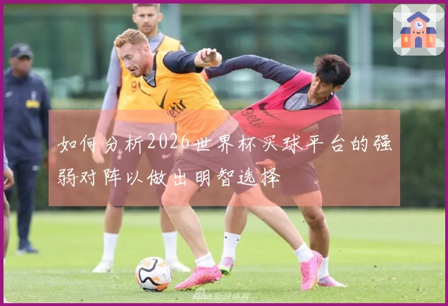 如何分析2026世界杯买球平台的强弱对阵以做出明智选择