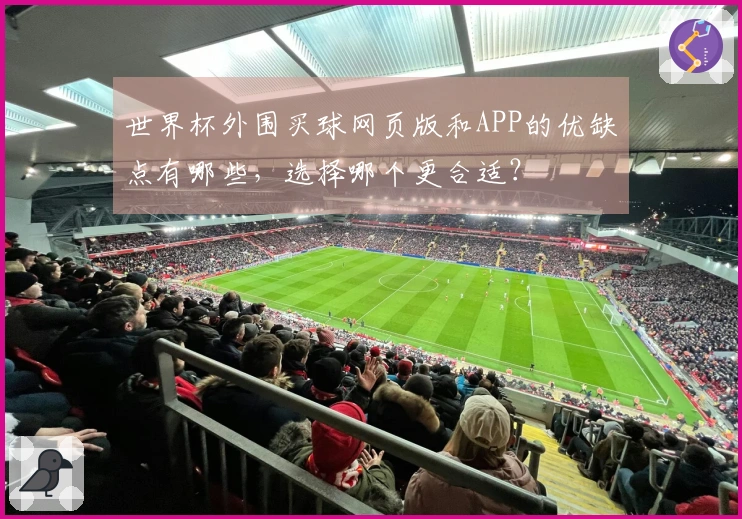 世界杯外围买球网页版和APP的优缺点有哪些，选择哪个更合适？